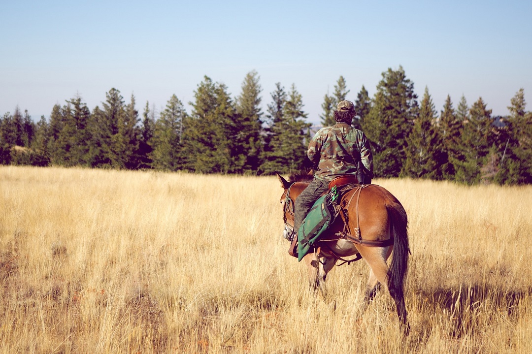 Hunting on Horseback vs. ATV