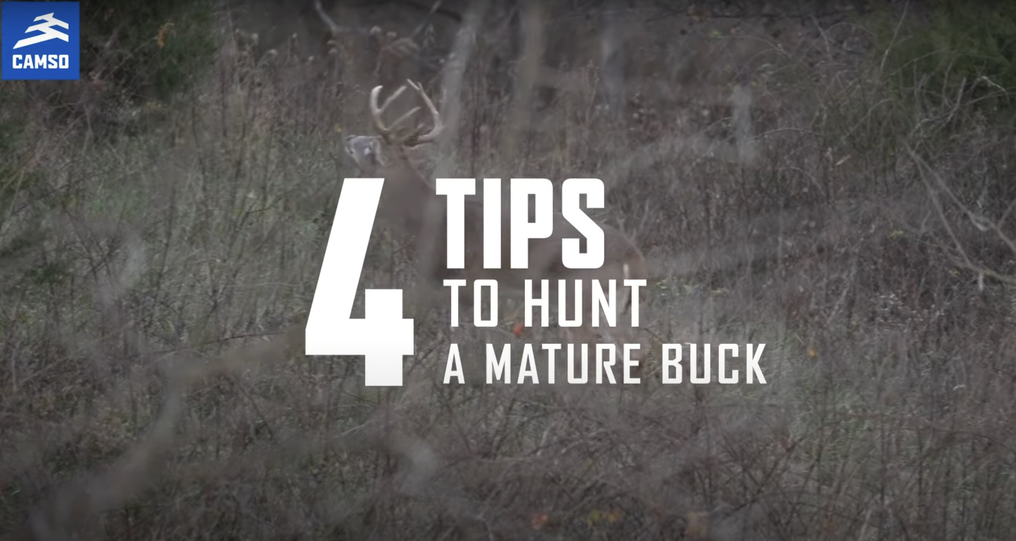 Hunting a Mature Buck with Jeff Sturgis