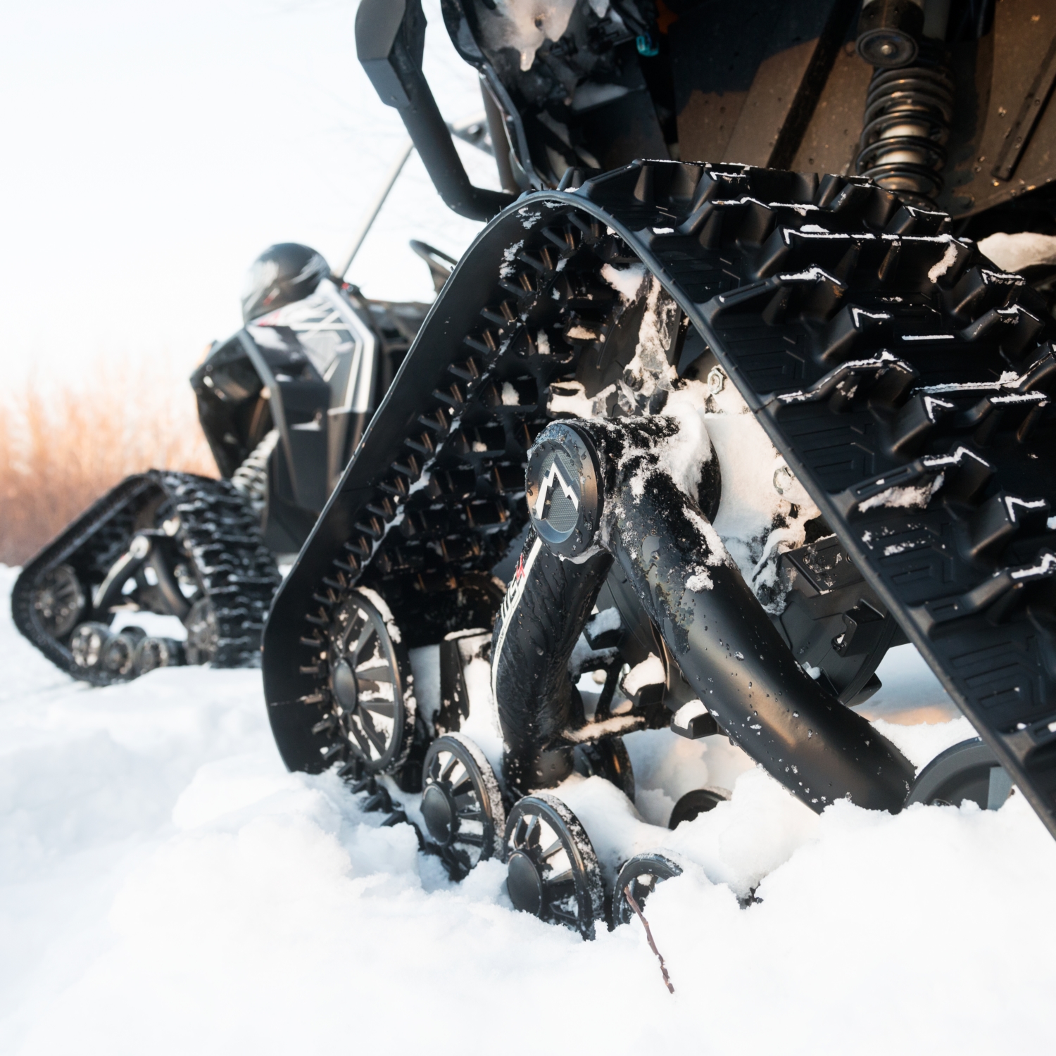 Sportsman 850 XP EPS Browning (2011) 6